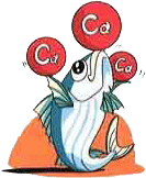 �����̃s�`�s�`�������