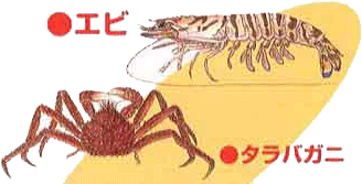 �����̃s�`�s�`�������