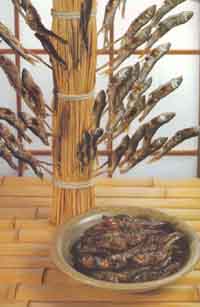 �n�G�̔Ԓ���